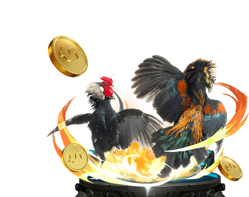 Bản đồ vị trí trường gà Thomo